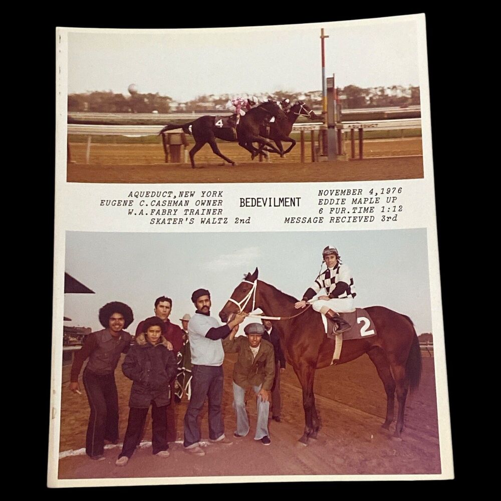 Vintage 1976 Aqueduct Horse Racing Photo Bedevilment Eddie Maple